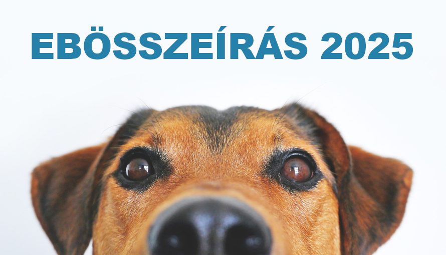 Ebösszeírás